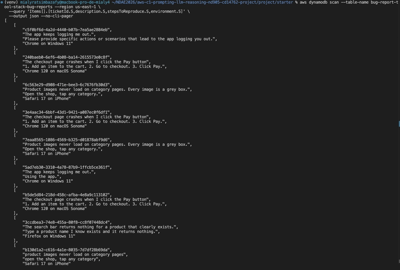 DynamoDB scan showing a healthy ticket next to tickets with junk in stepsToReproduce